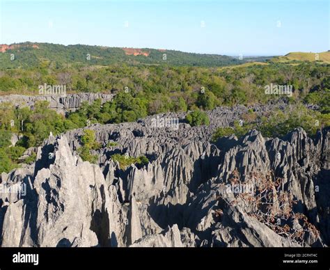 Floresta de Pedra: Um Labirinto Natural Espetacular e Misterioso!